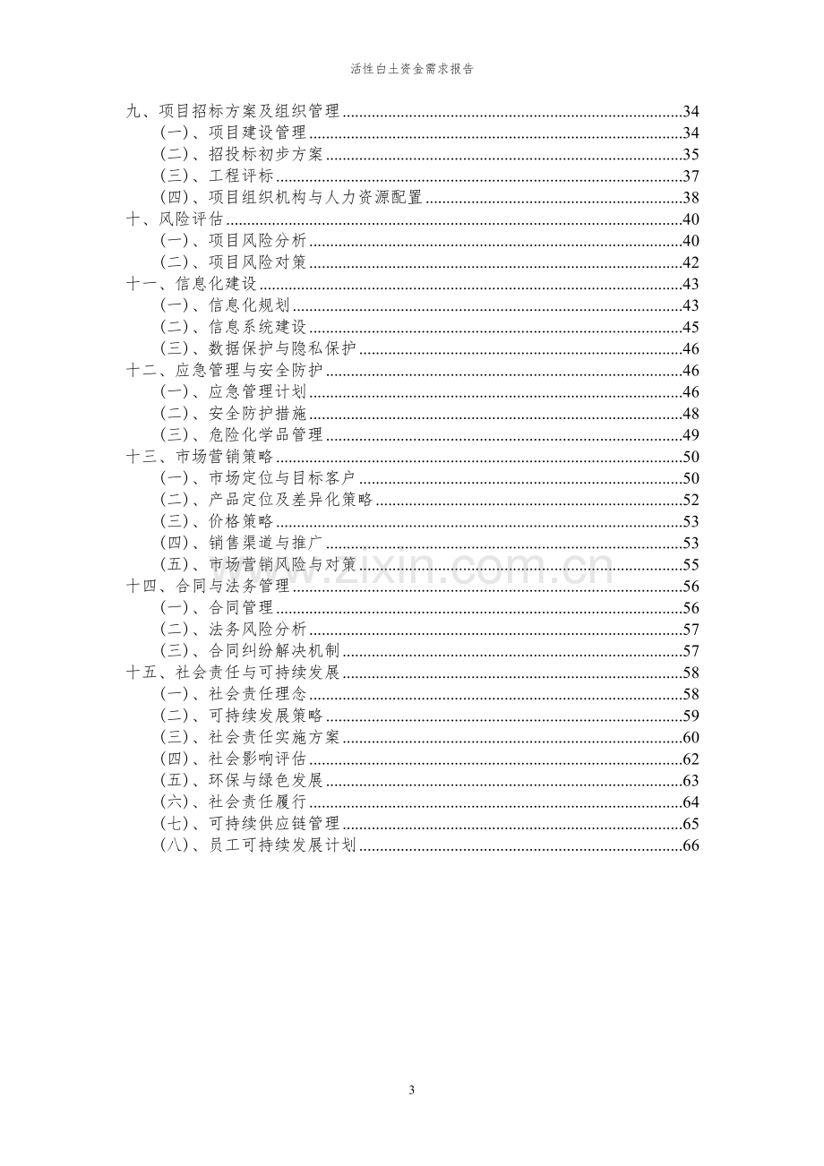 2024年活性白土项目资金需求报告.docx_第3页