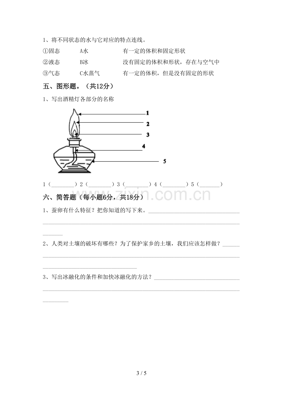 新人教版三年级科学下册期中测试卷(一套).doc_第3页