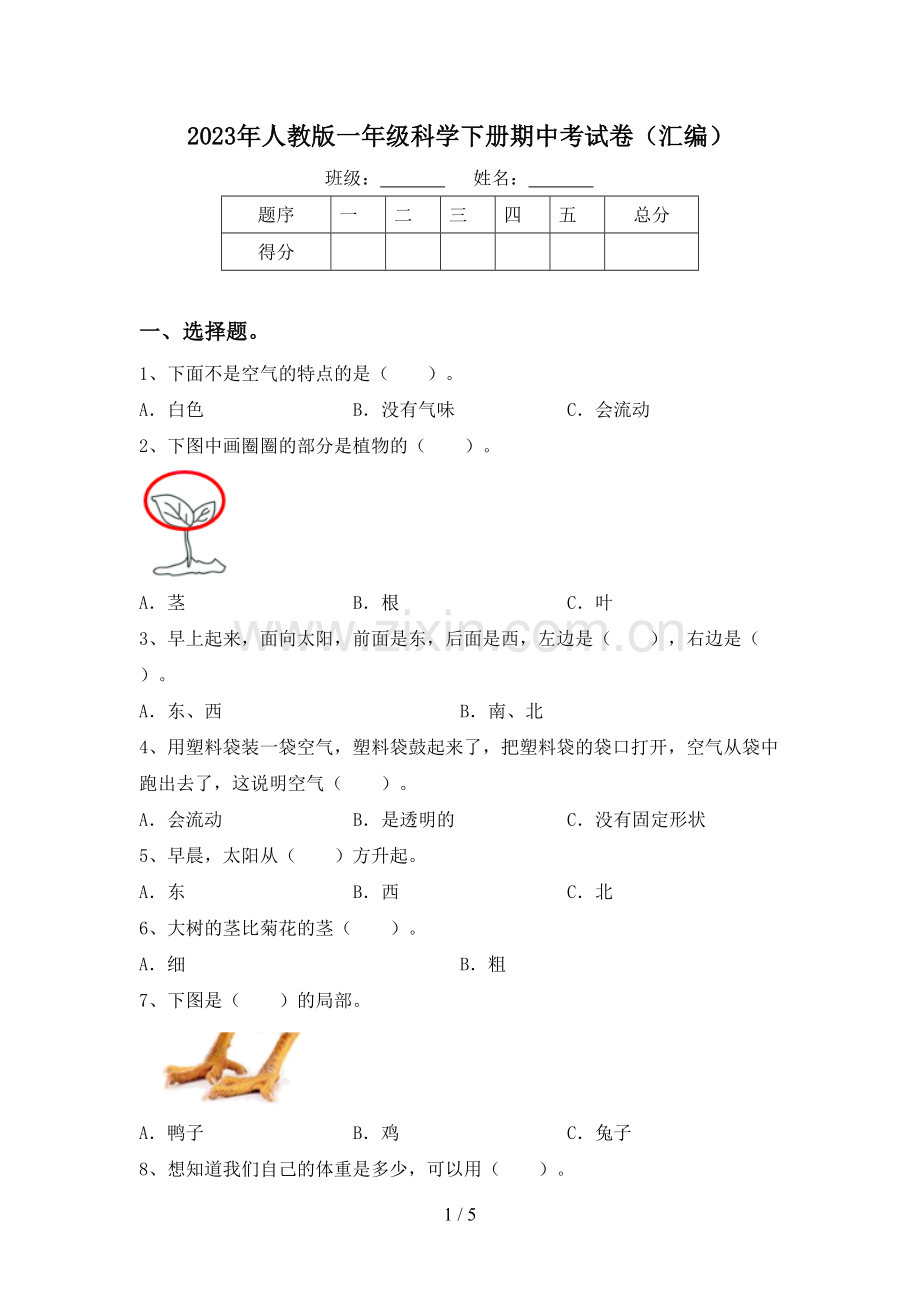 2023年人教版一年级科学下册期中考试卷(汇编).doc_第1页