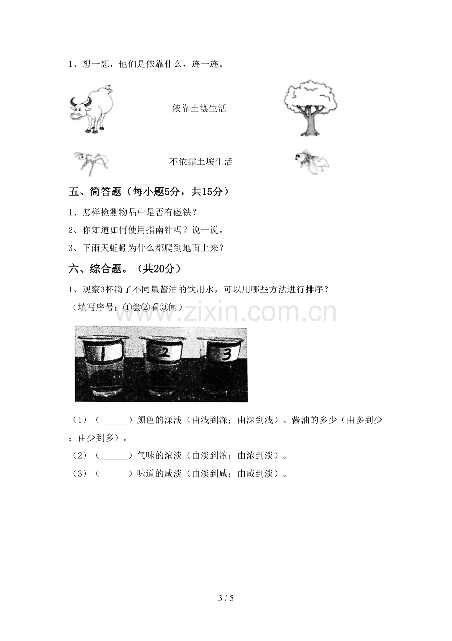 人教版二年级科学下册期中考试卷(带答案).doc_第3页