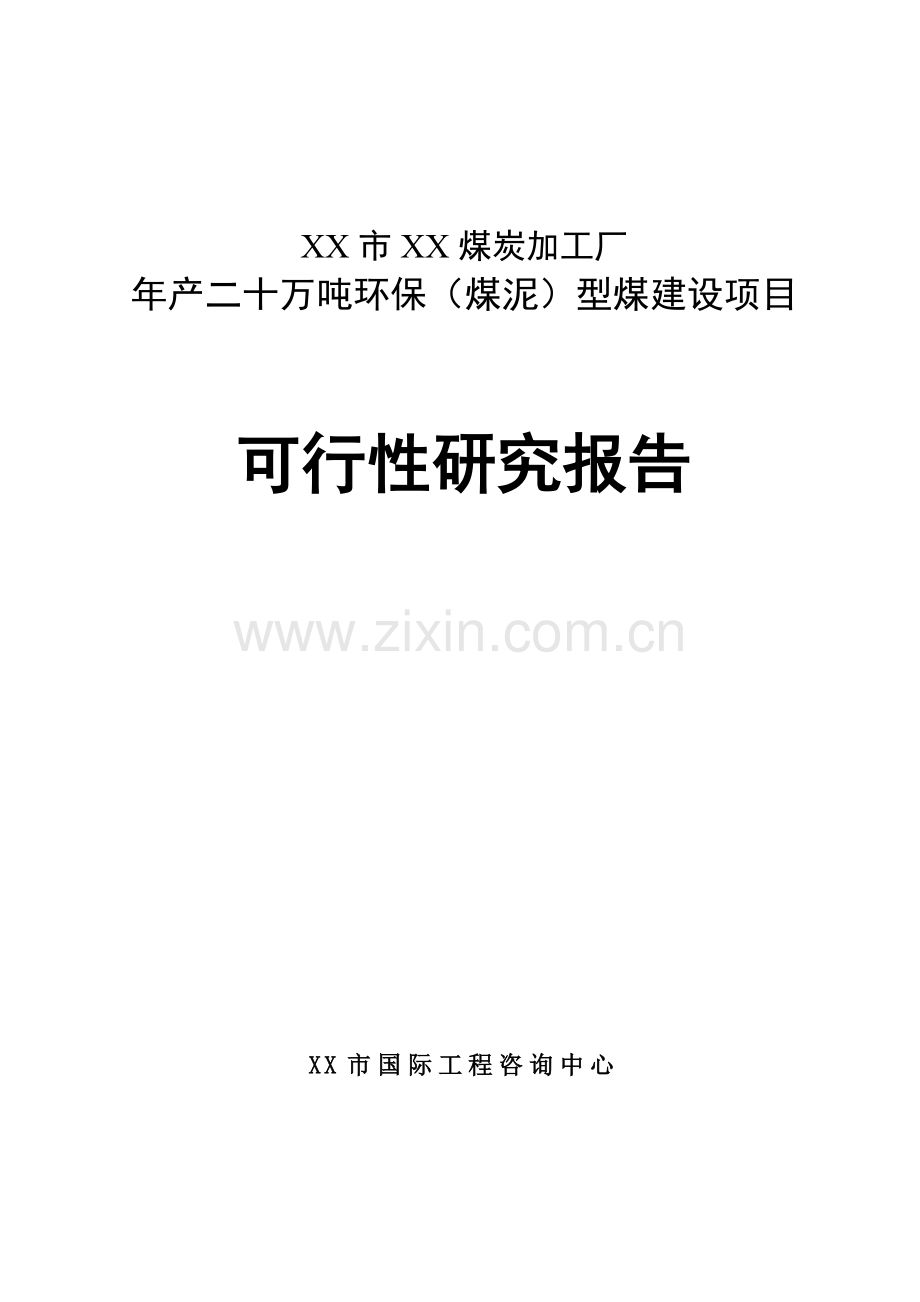 年产二十万吨环保(煤泥)型煤项目可行性研究报告.doc_第1页