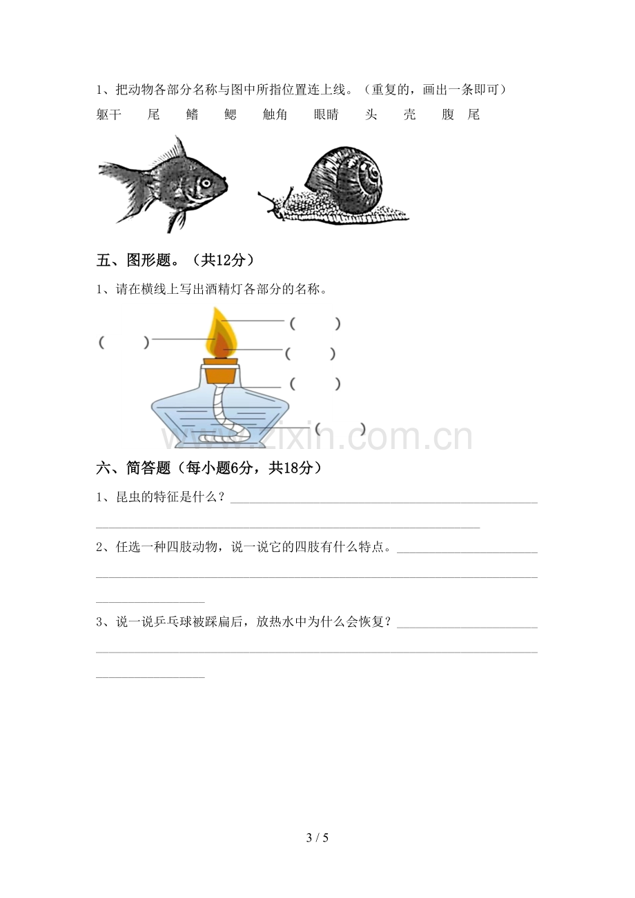 2023年教科版三年级科学下册期中测试卷及答案.doc_第3页