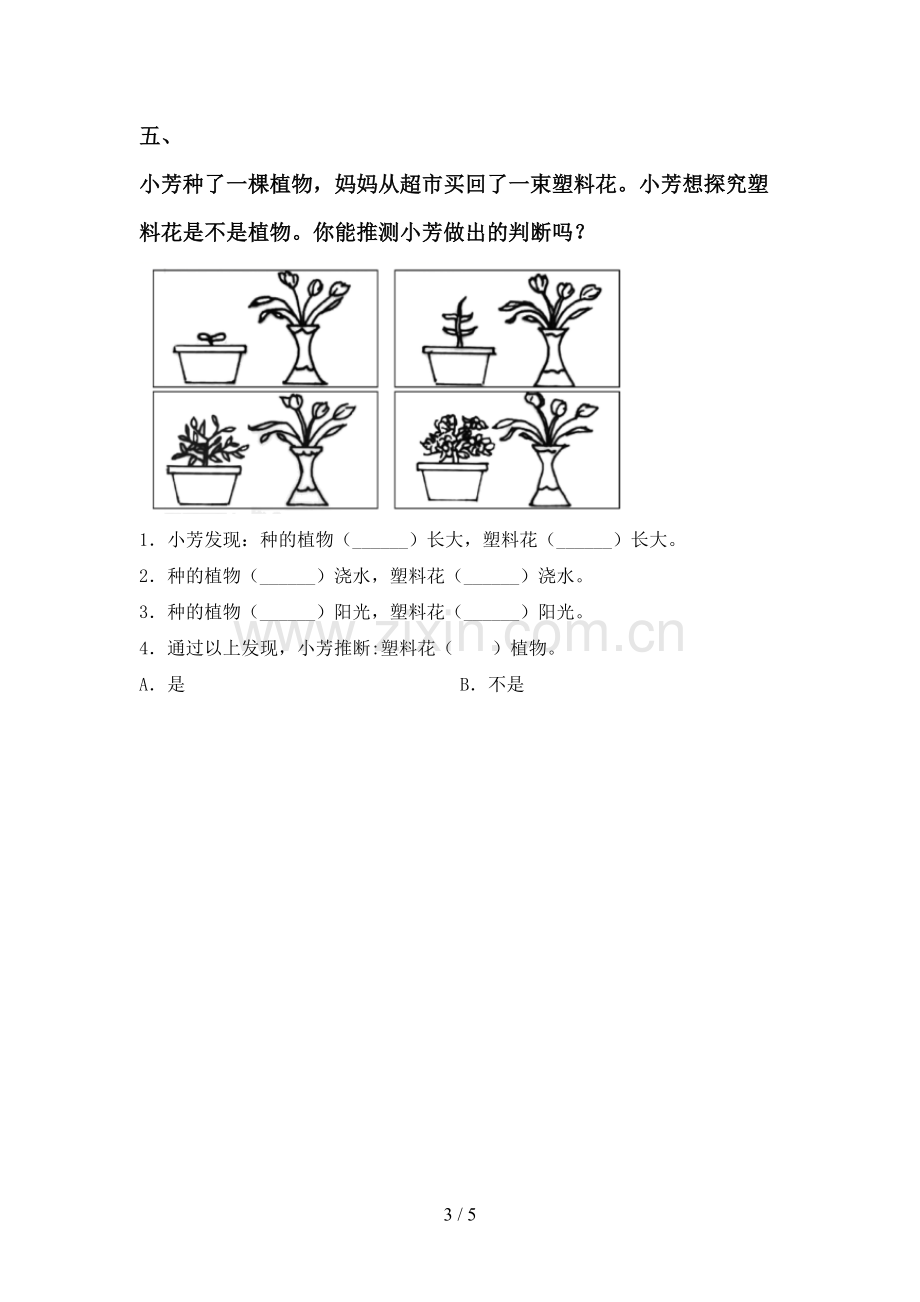 教科版一年级科学下册期中试卷【及参考答案】.doc_第3页