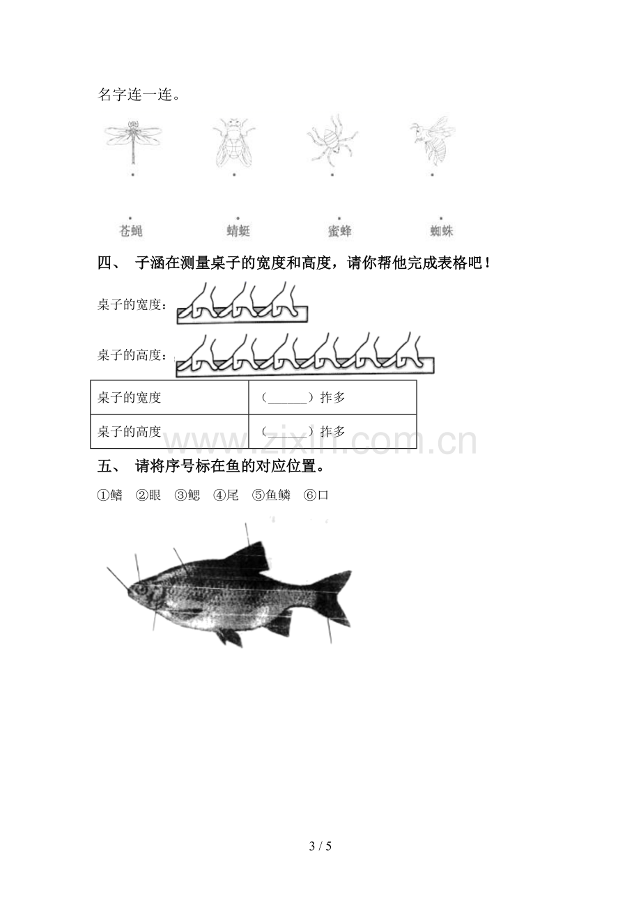 2022-2023年教科版一年级科学下册期中试卷及答案【各版本】.doc_第3页