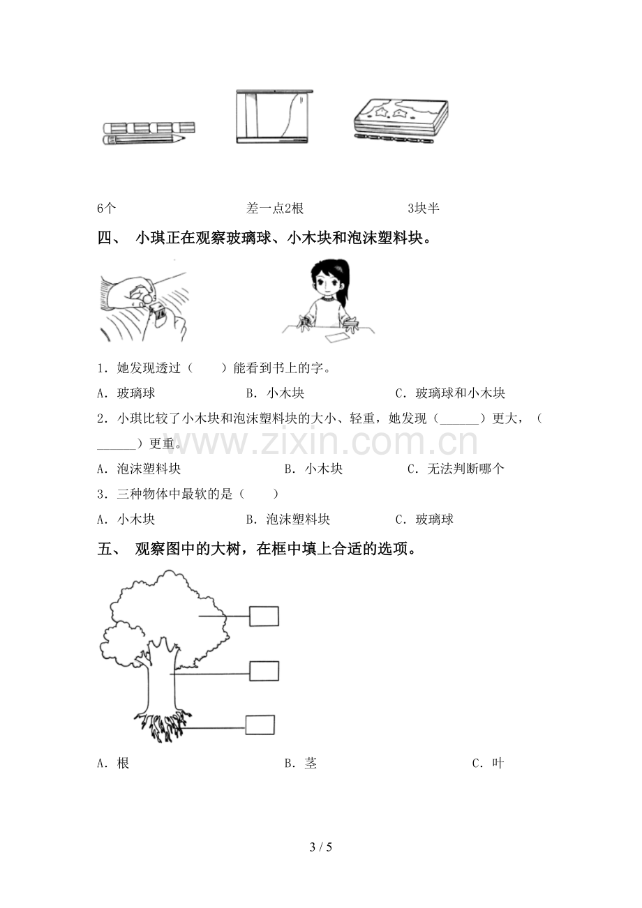 2022-2023年教科版一年级科学下册期中测试卷(精编).doc_第3页