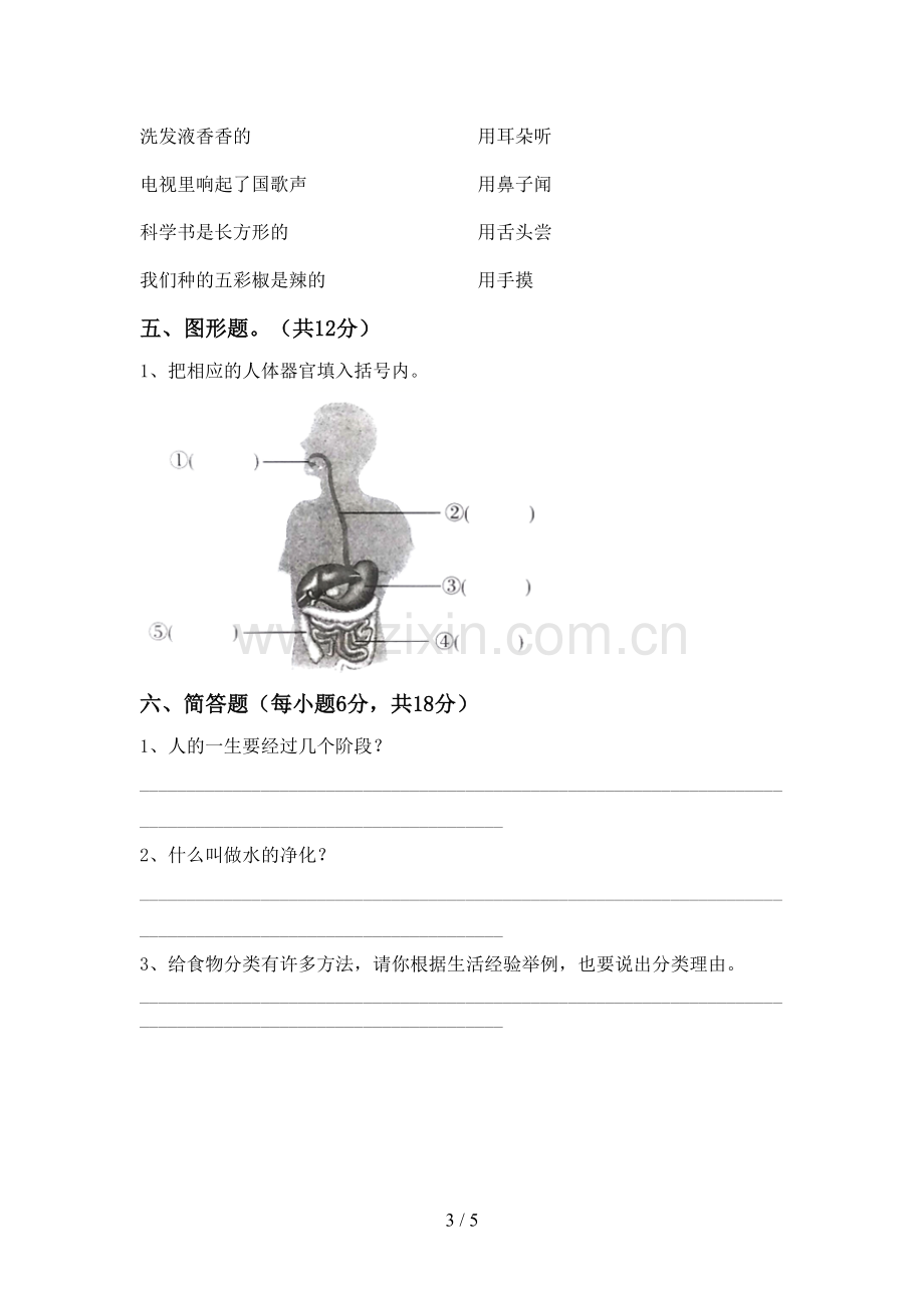 四年级科学下册期中考试卷(审定版).doc_第3页