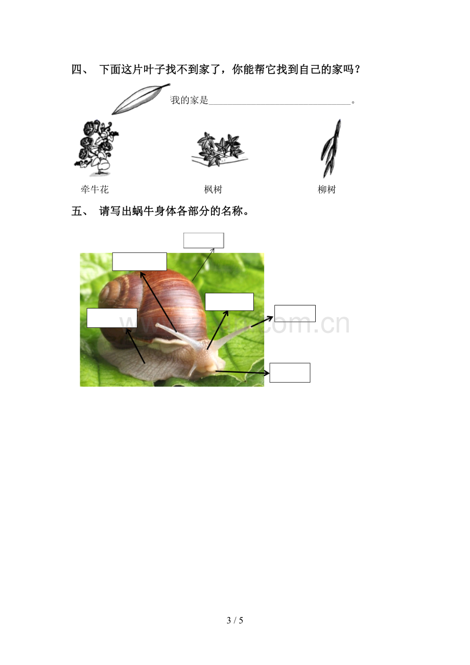 新教科版一年级科学下册期中考试卷及答案【精选】.doc_第3页