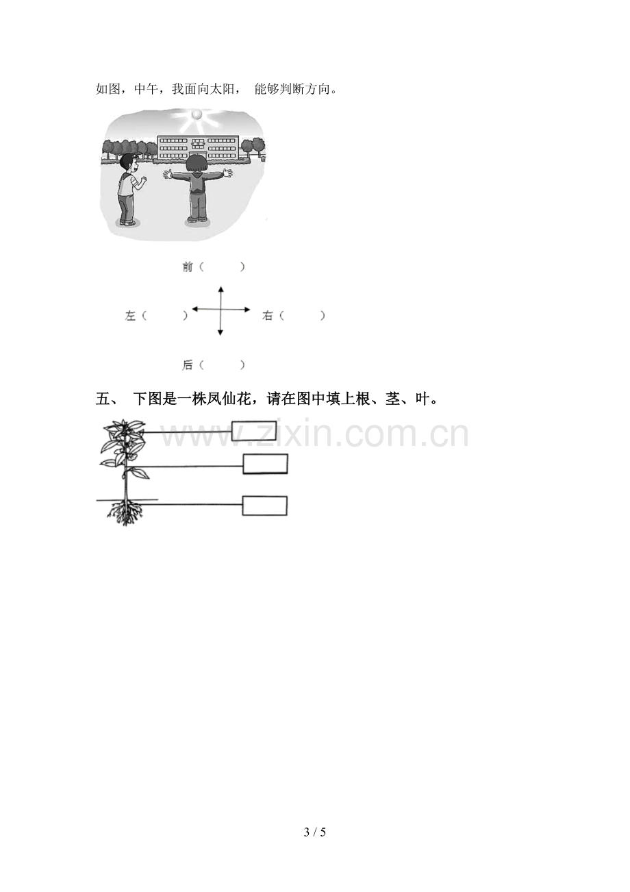 2022-2023年人教版一年级科学下册期中测试卷(审定版).doc_第3页