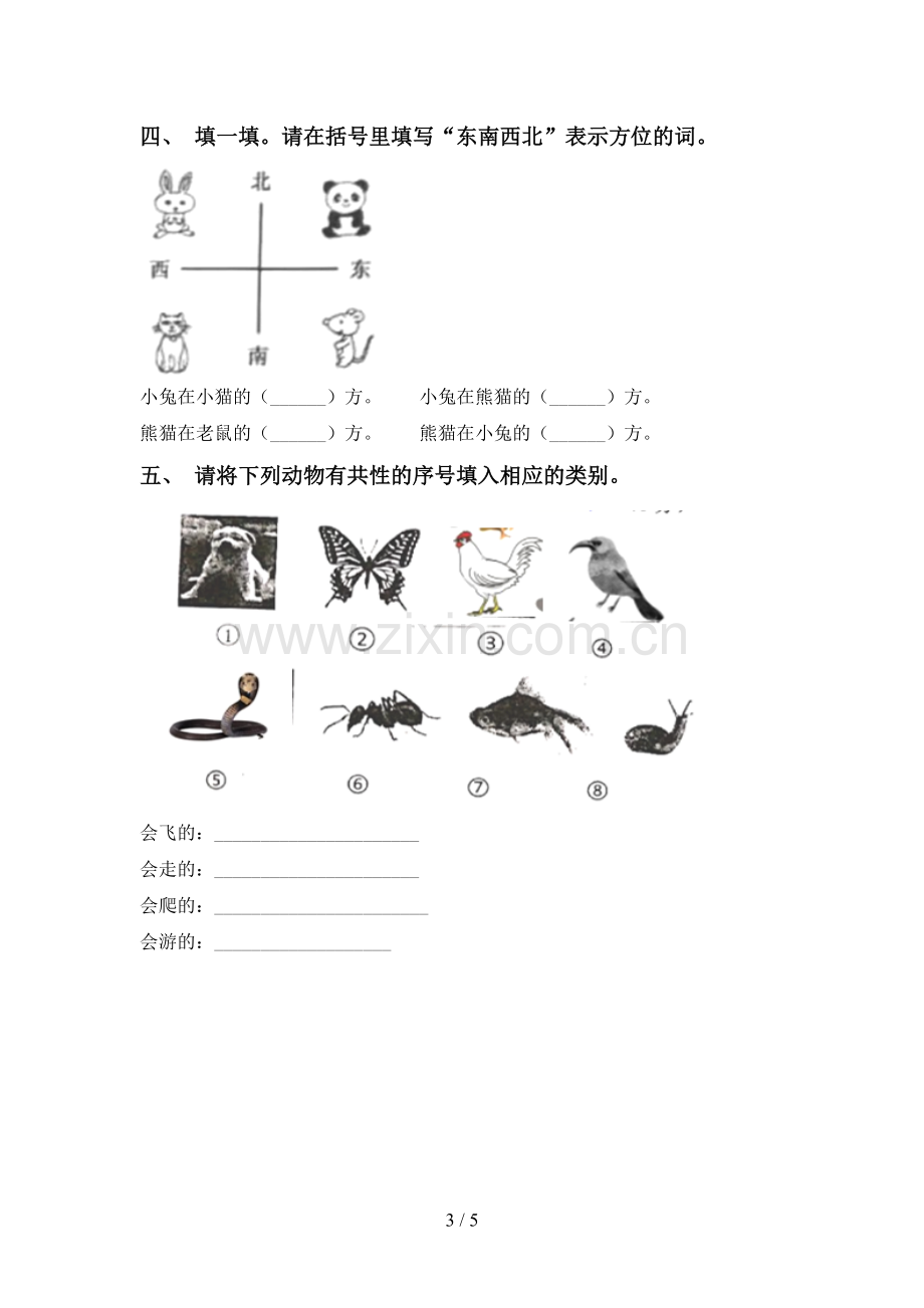 新教科版一年级科学下册期中试卷(汇编).doc_第3页