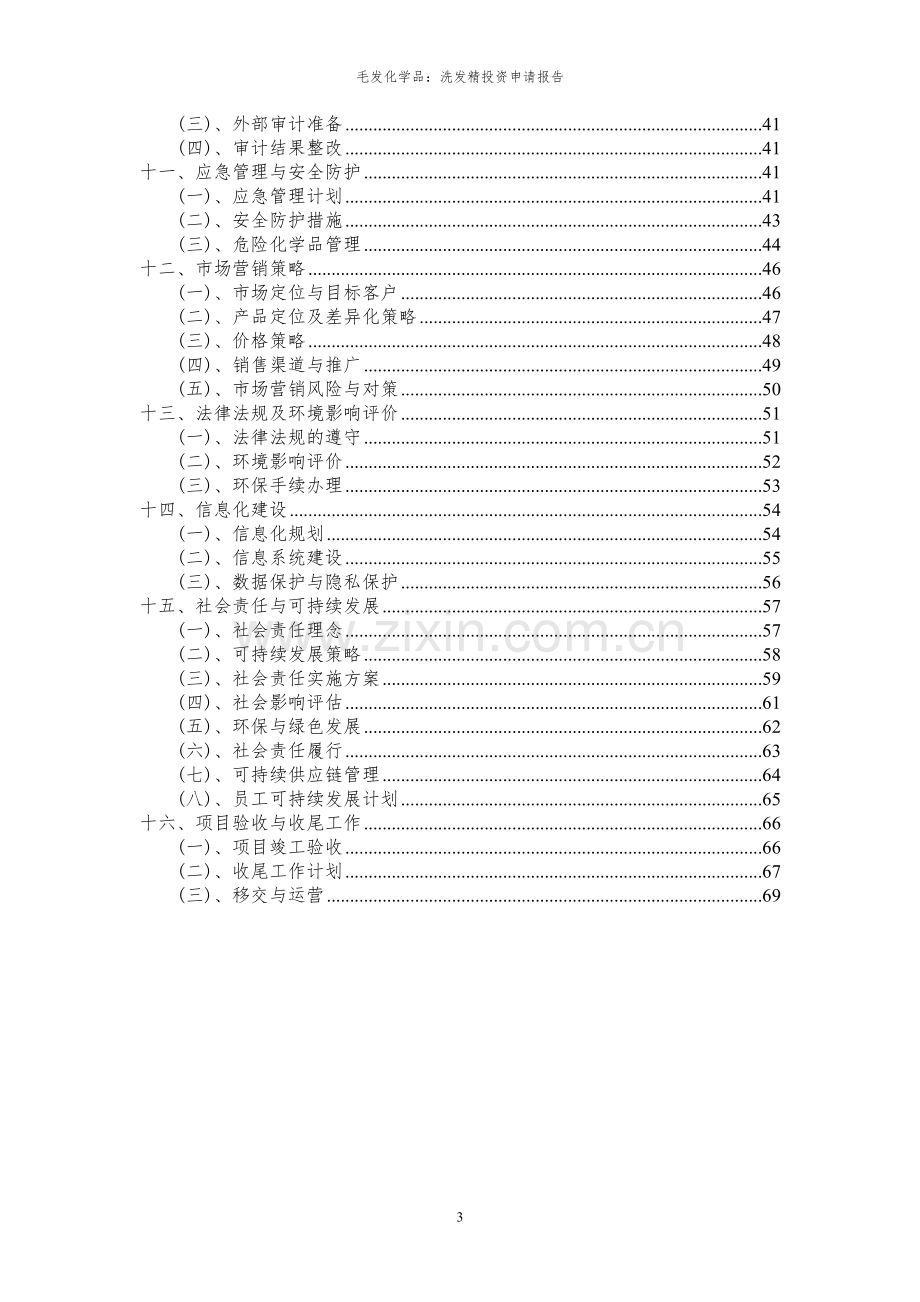 2023年毛发化学品：洗发精项目投资申请报告.docx_第3页