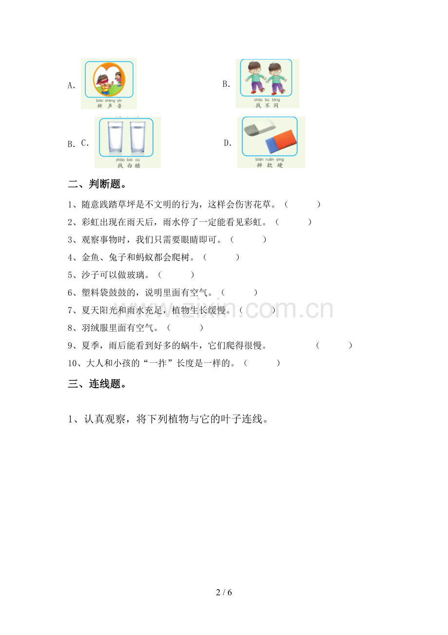 教科版一年级科学下册期中考试题【及答案】.doc_第2页