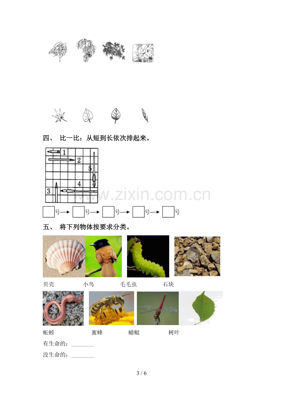 教科版一年级科学下册期中考试题【及答案】.doc_第3页