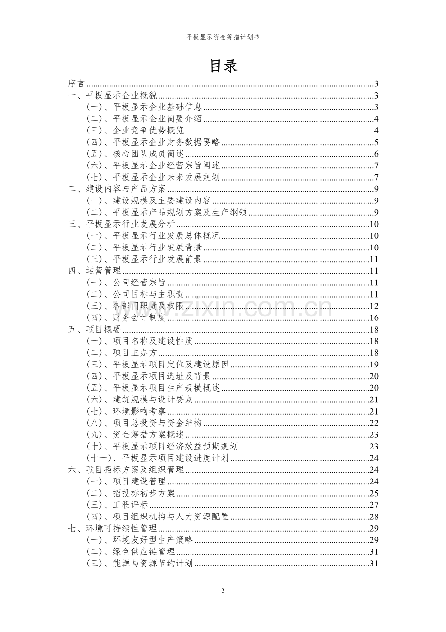 2024年平板显示项目资金筹措计划书.docx_第2页