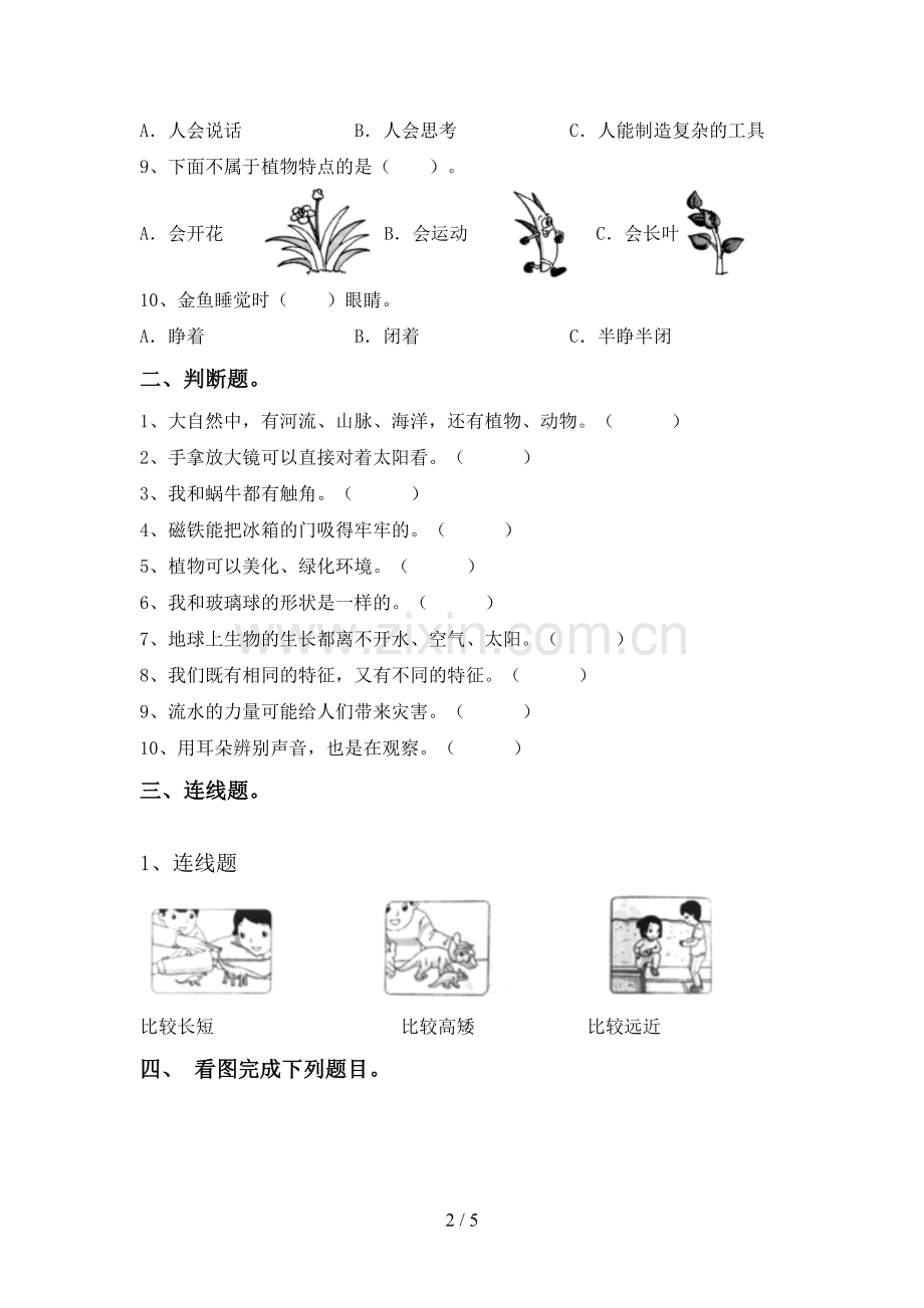 2022-2023年教科版一年级科学下册期中测试卷(A4版).doc_第2页