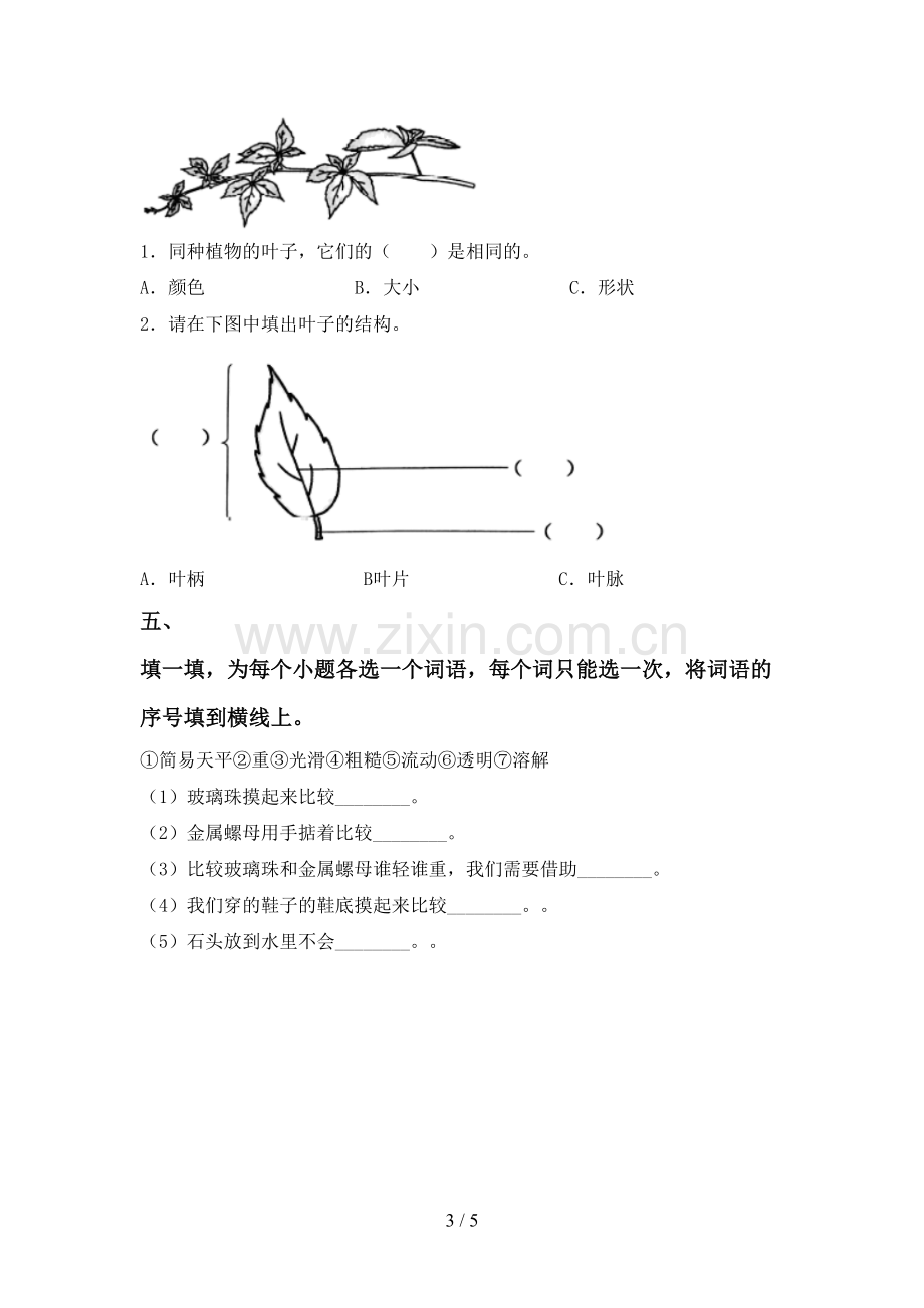 2022-2023年人教版一年级科学下册期中考试题带答案.doc_第3页