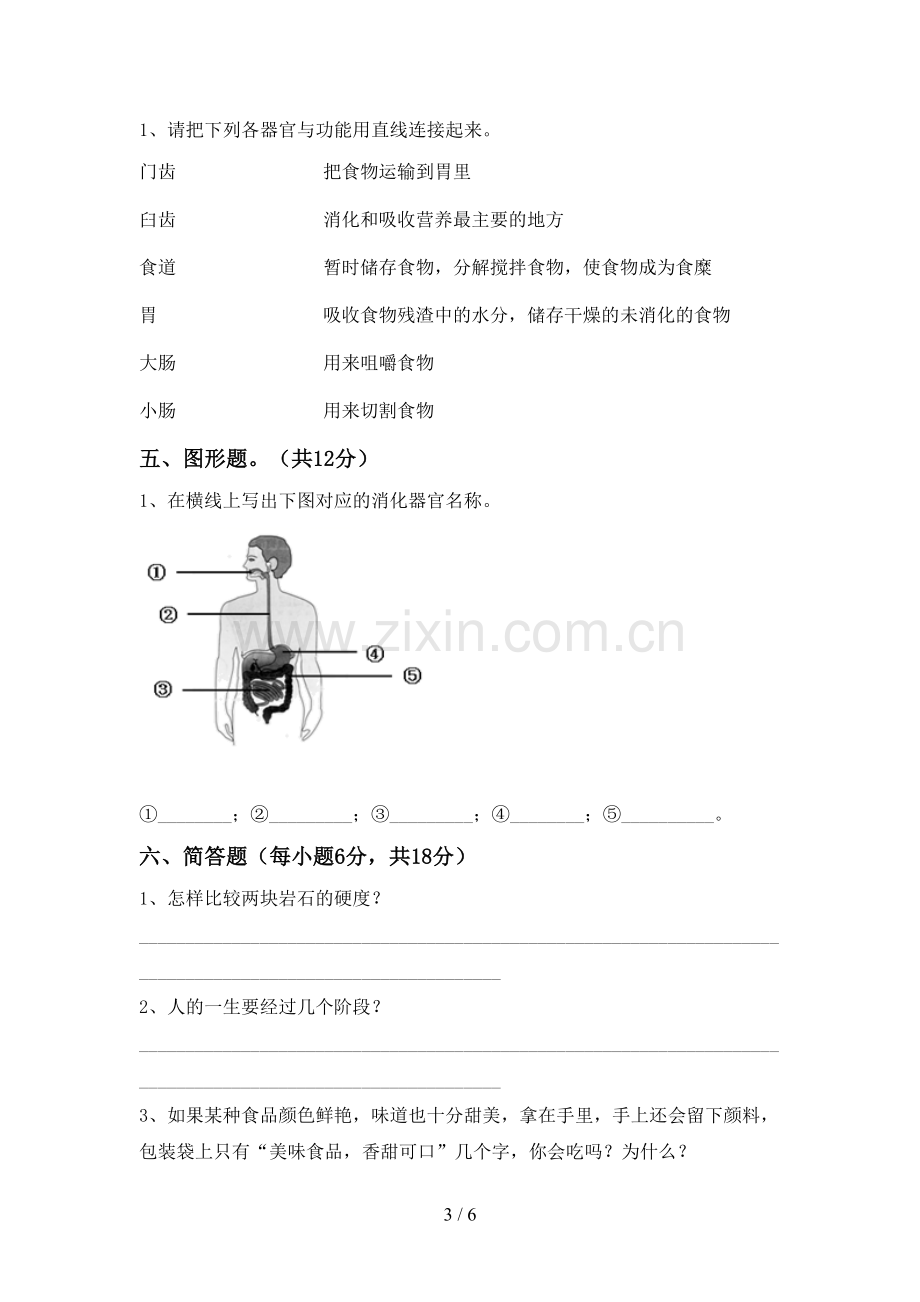 新人教版四年级科学下册期中考试题.doc_第3页