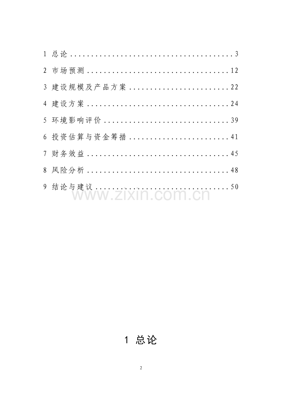 年产1万吨镁合金板材新建项目建议书.doc_第2页