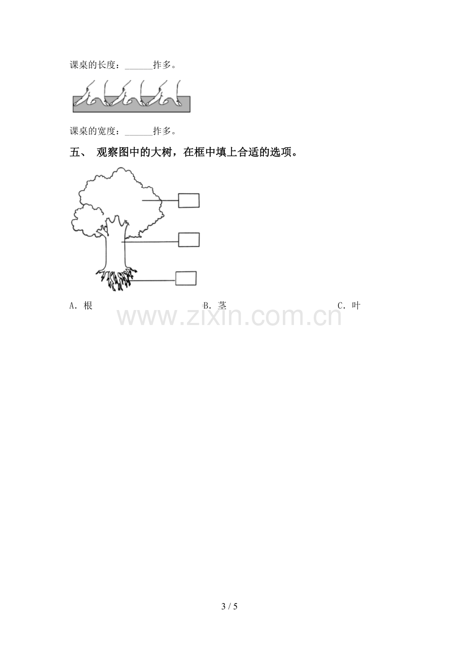 2022-2023年教科版一年级科学下册期中测试卷加答案.doc_第3页