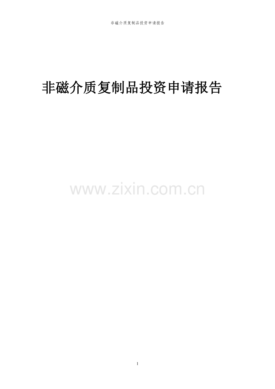 2024年非磁介质复制品投资申请报告书.docx_第1页