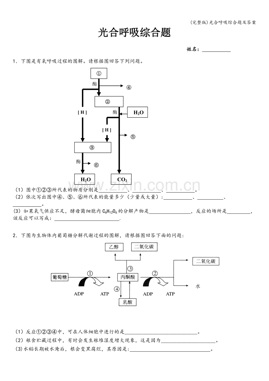 光合呼吸综合题及答案.doc_第1页