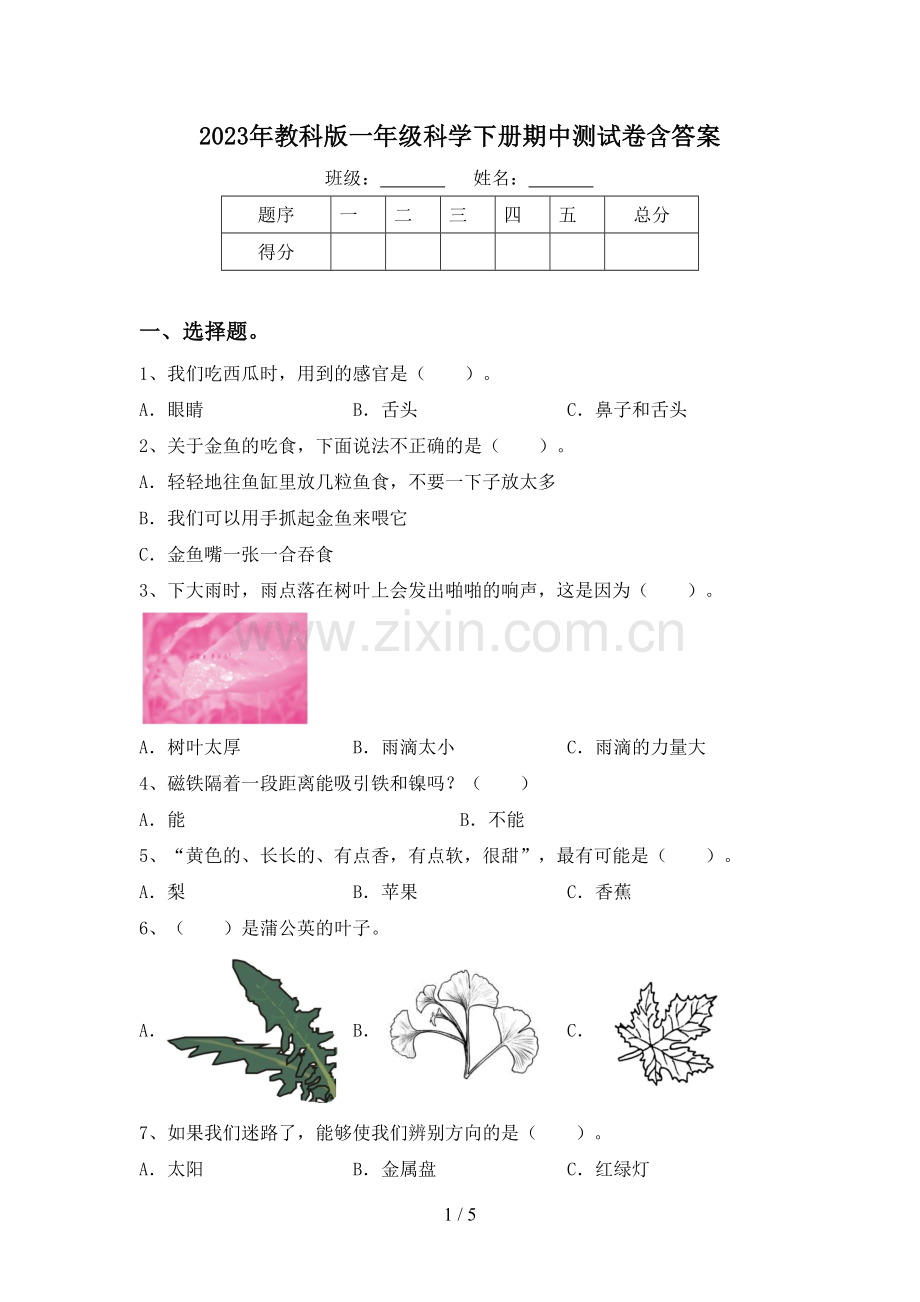 2023年教科版一年级科学下册期中测试卷含答案.doc_第1页