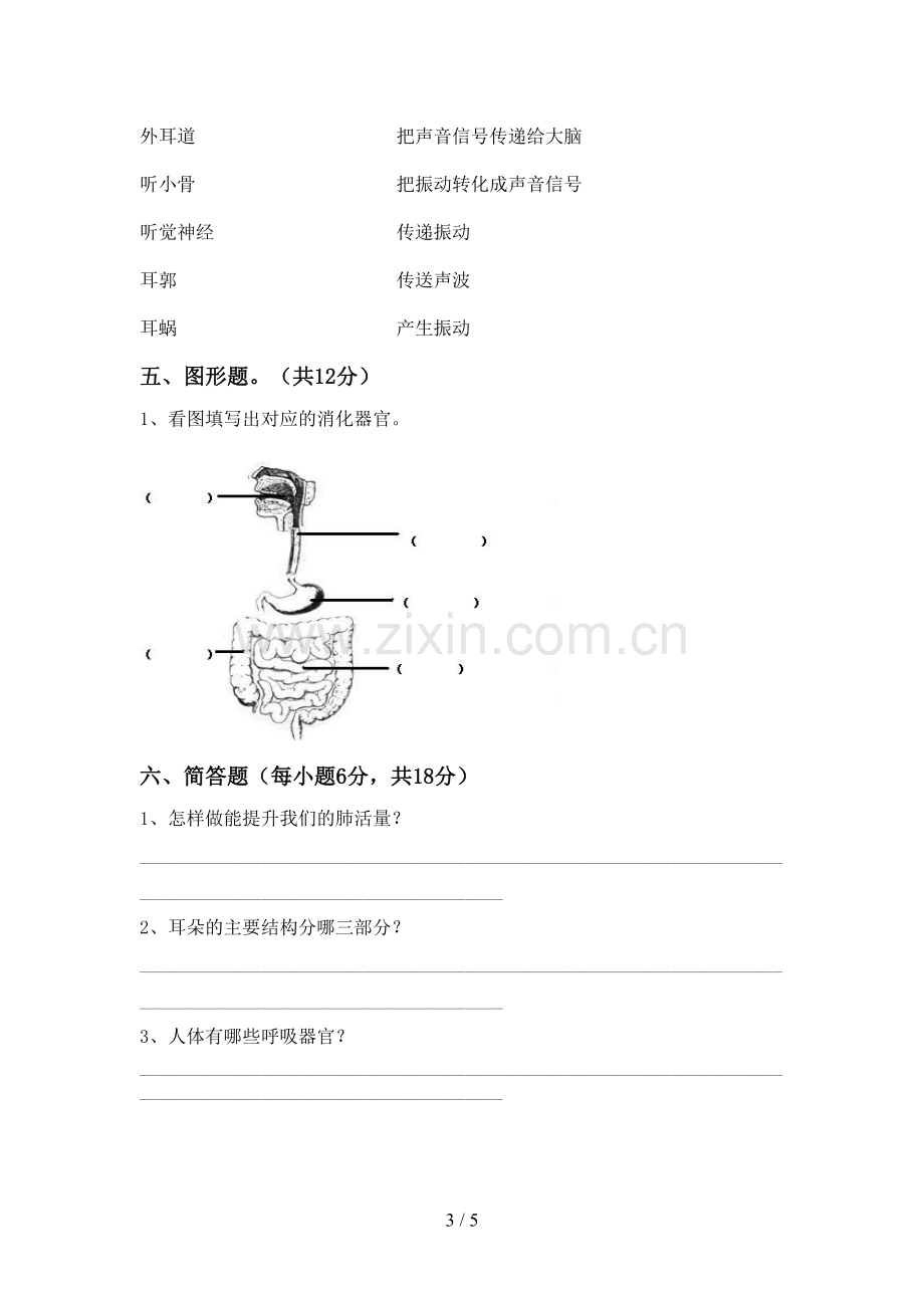 人教版四年级科学下册期中试卷(及参考答案).doc_第3页