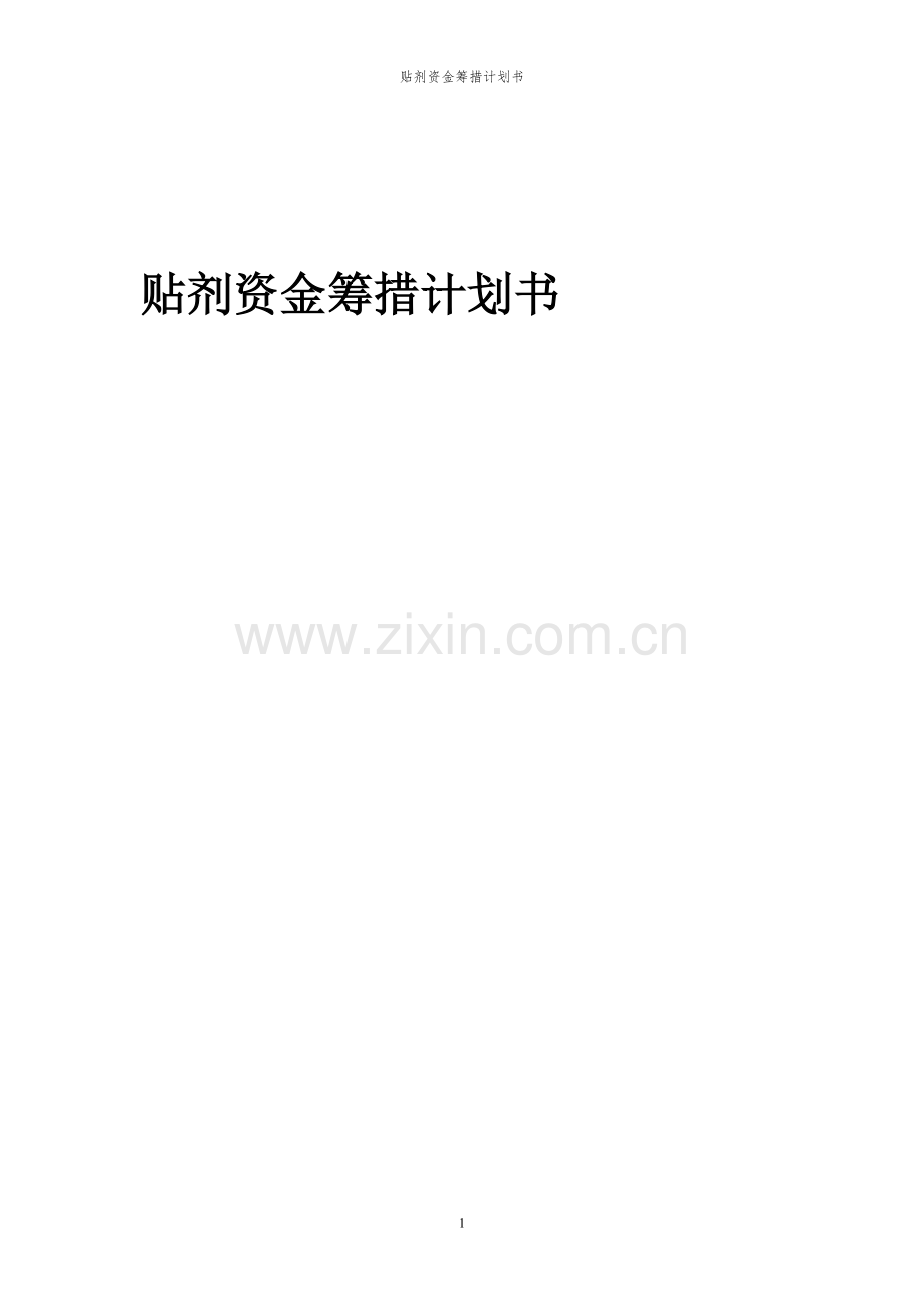 2023年贴剂项目资金筹措计划书.docx_第1页