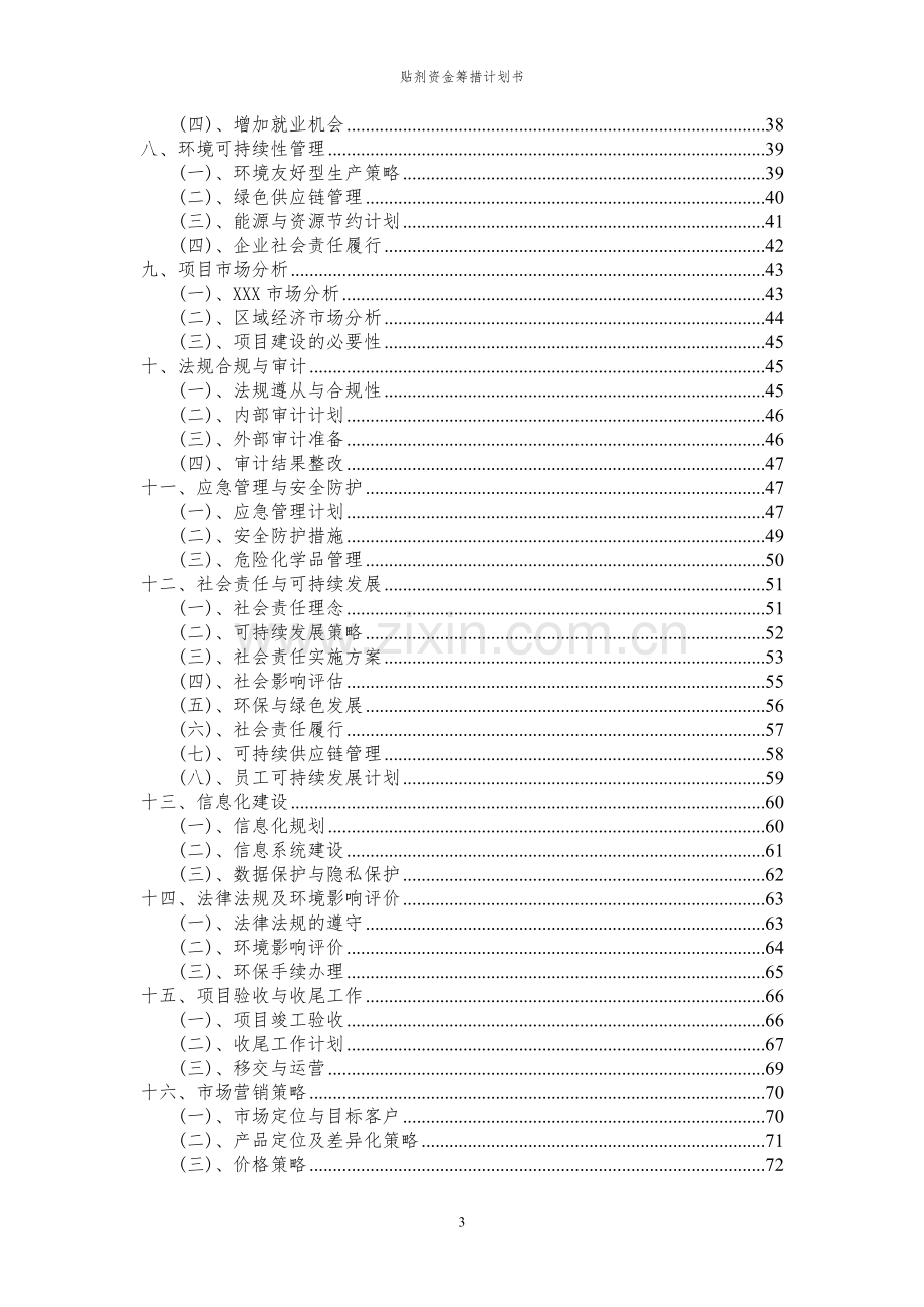 2023年贴剂项目资金筹措计划书.docx_第3页