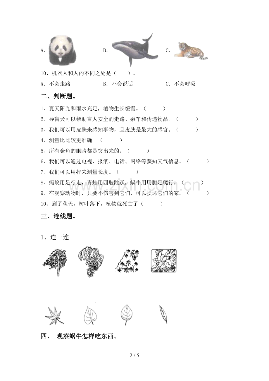 2023年人教版一年级科学下册期中试卷.doc_第2页