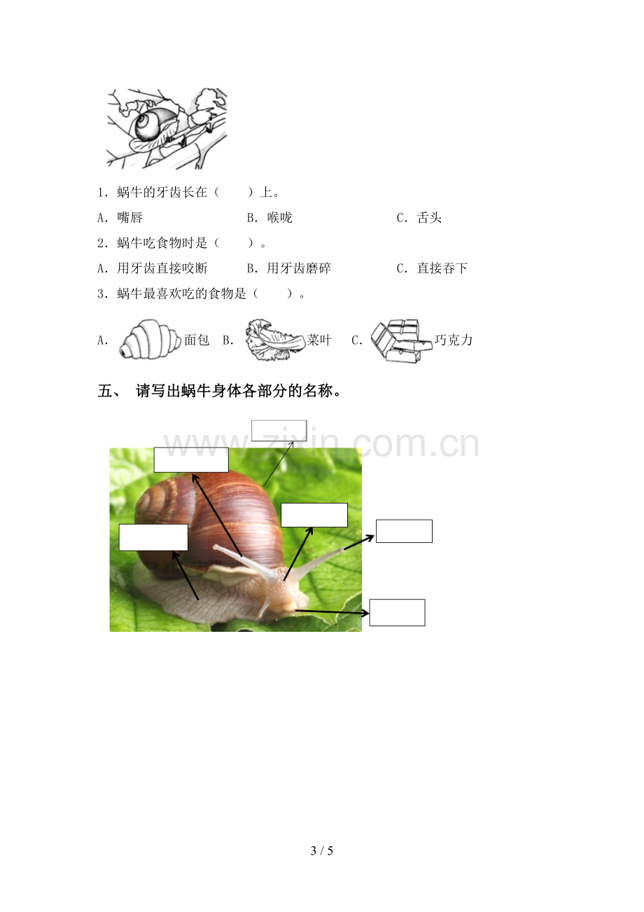 2023年人教版一年级科学下册期中试卷.doc_第3页