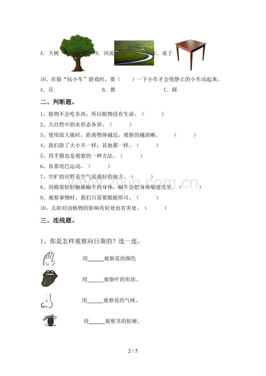 2022-2023年教科版一年级科学下册期中测试卷(新版).doc_第2页