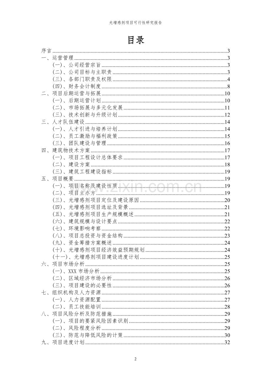 2024年光增感剂项目可行性研究报告.docx_第2页