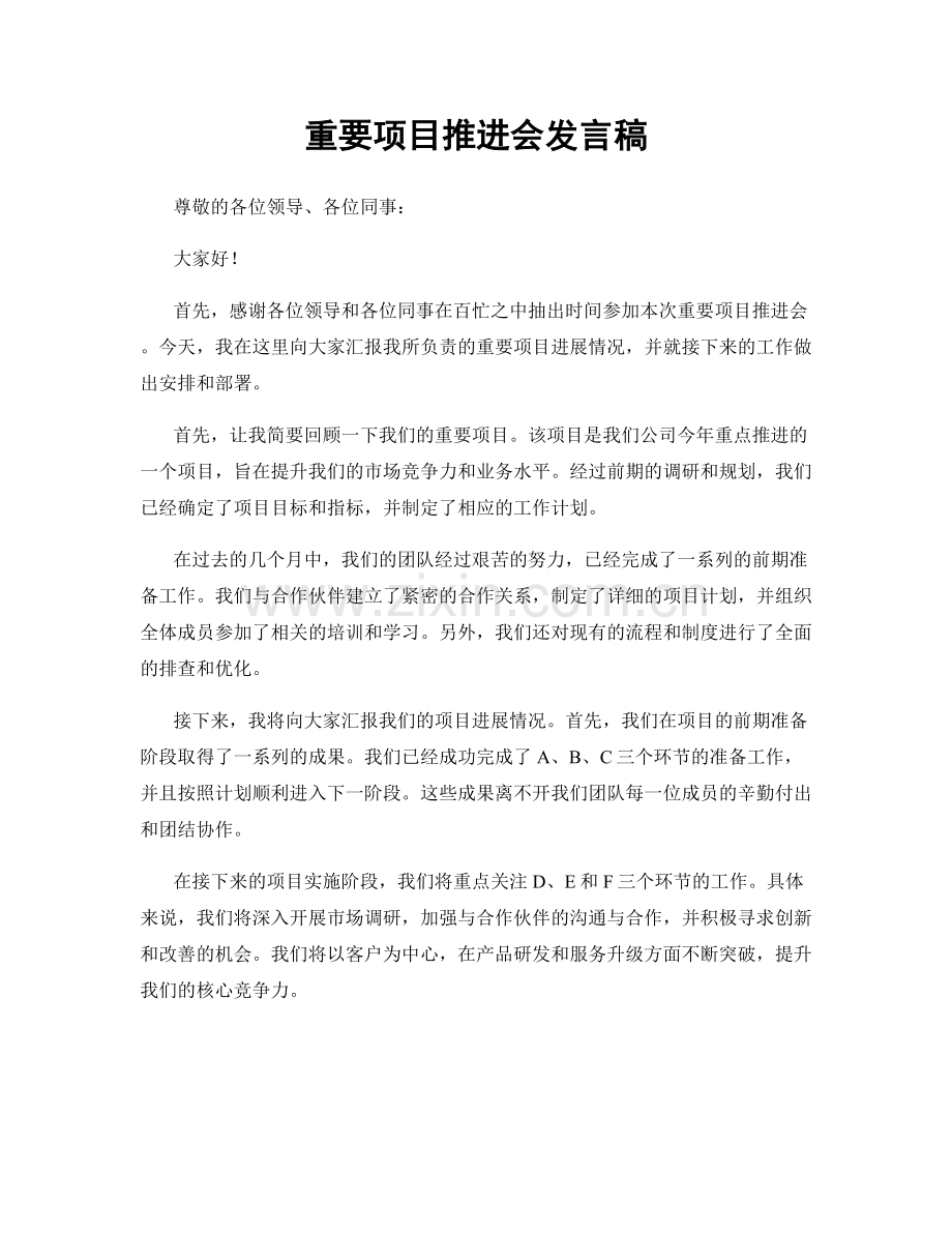 重要项目推进会发言稿.docx_第1页