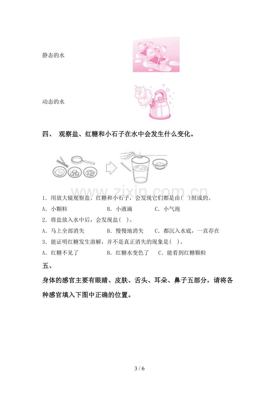 人教版一年级科学下册期中试卷及答案【一套】.doc_第3页