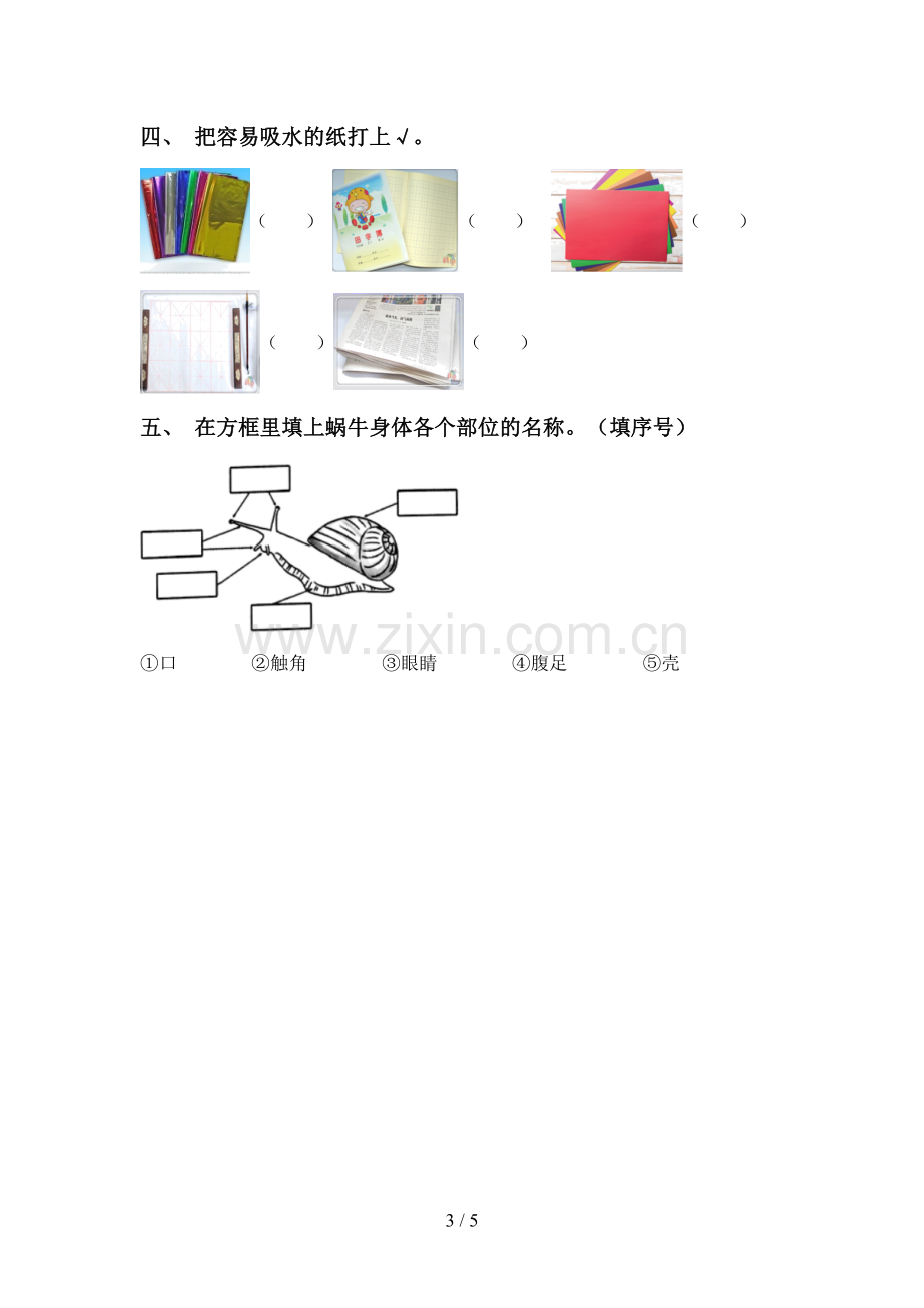 人教版一年级科学下册期中测试卷及答案【真题】.doc_第3页