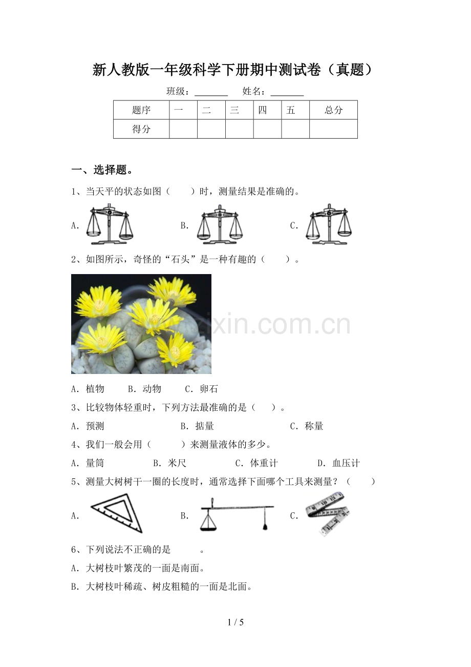 新人教版一年级科学下册期中测试卷(真题).doc_第1页