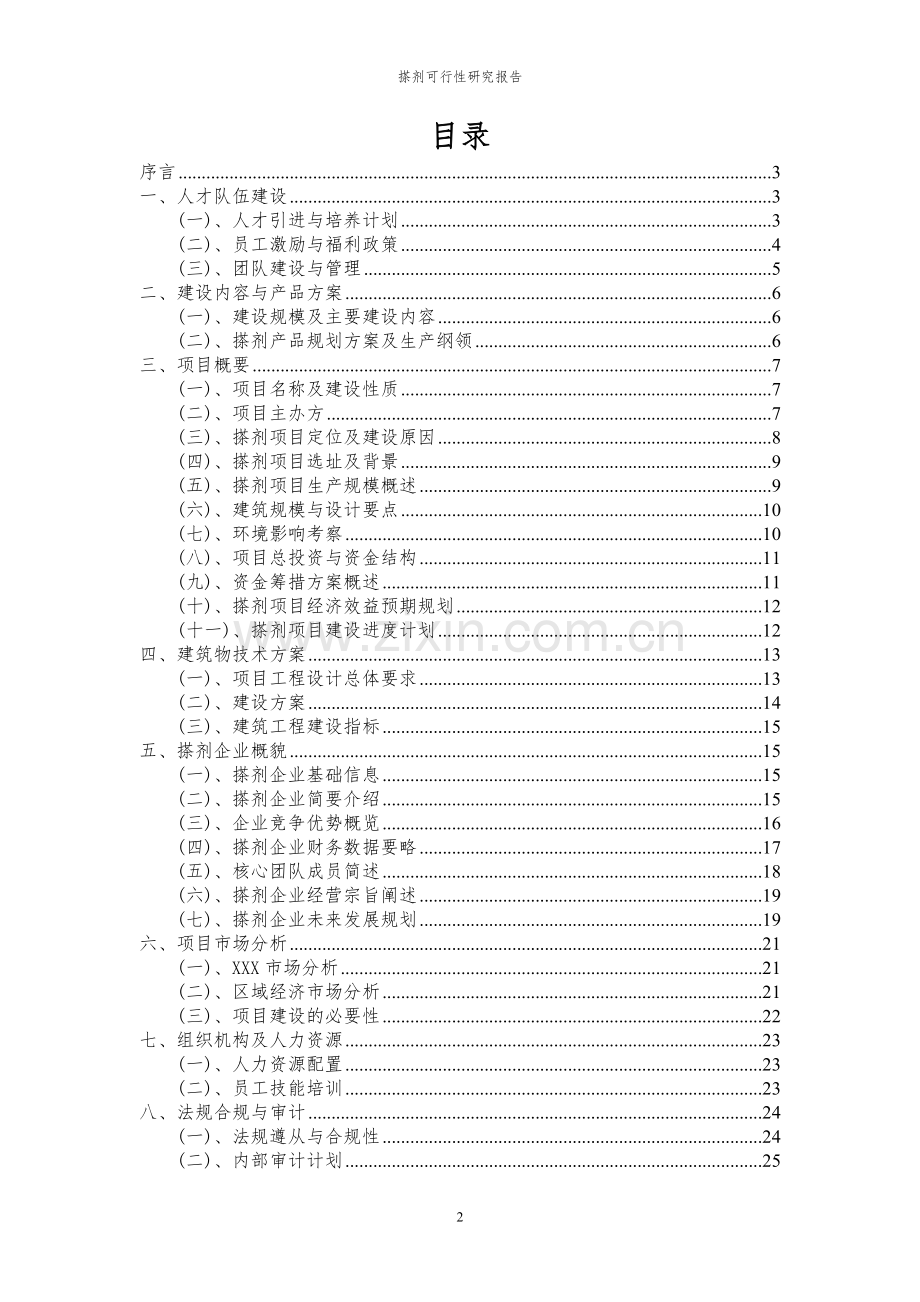 2023年搽剂项目可行性研究报告.docx_第2页