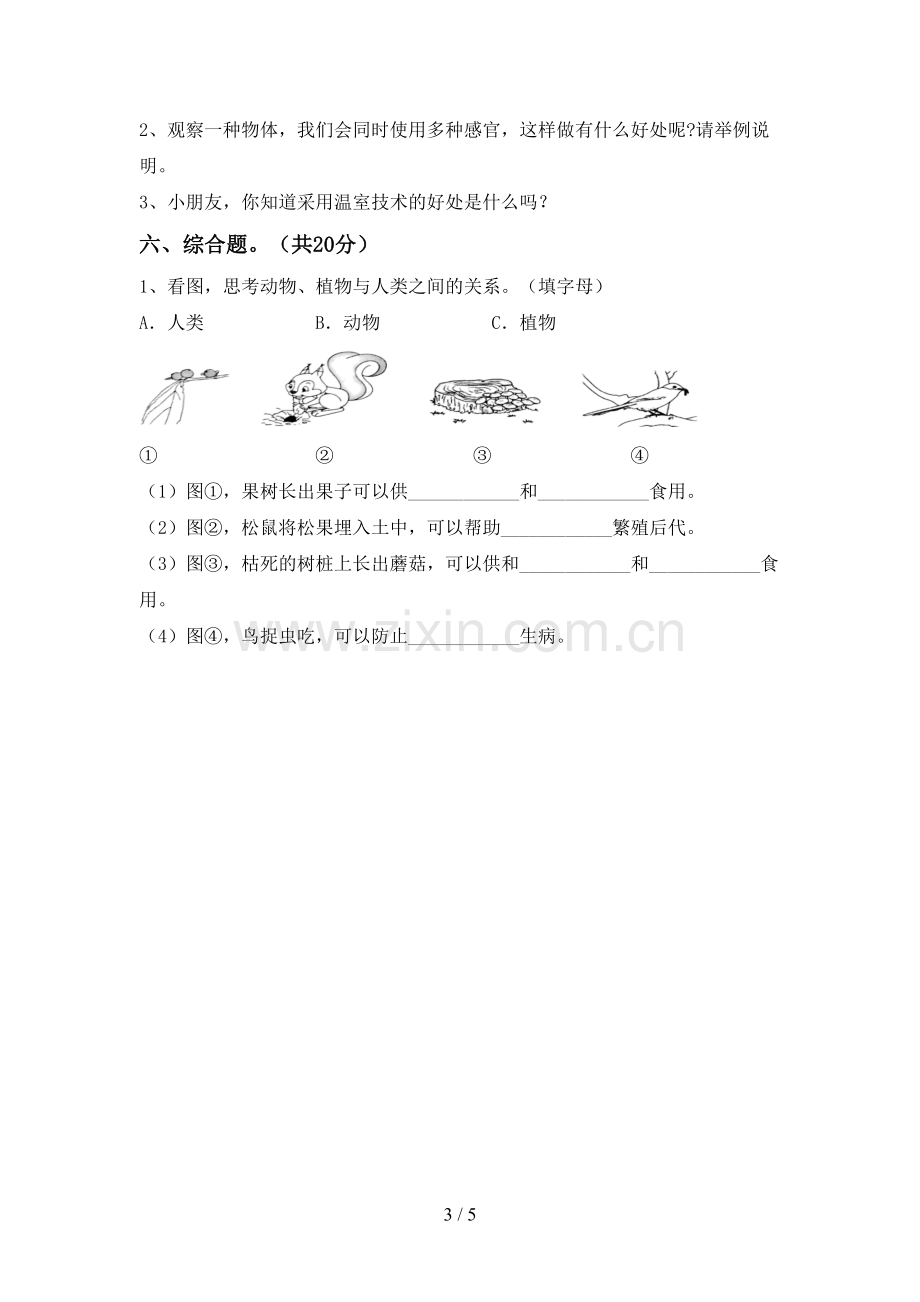 人教版二年级科学下册期中测试卷(各版本).doc_第3页