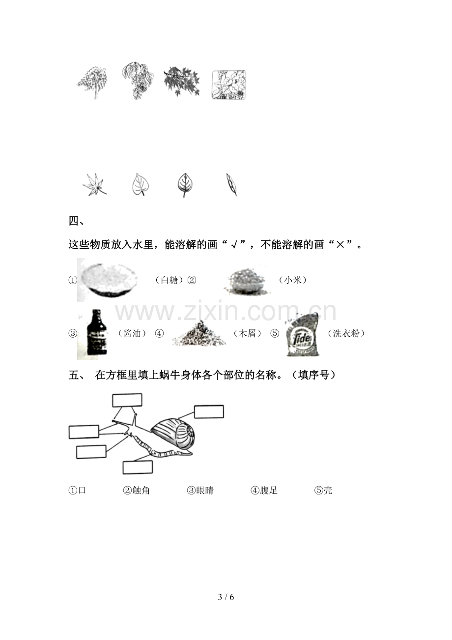 新人教版一年级科学下册期中考试题.doc_第3页