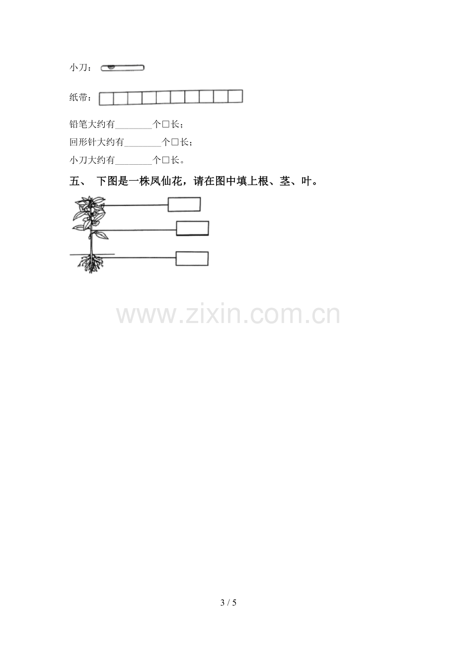 教科版一年级科学下册期中试卷.doc_第3页