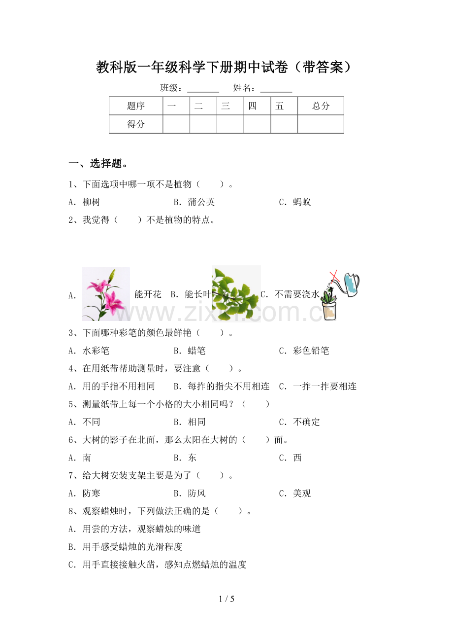 教科版一年级科学下册期中试卷(带答案).doc_第1页