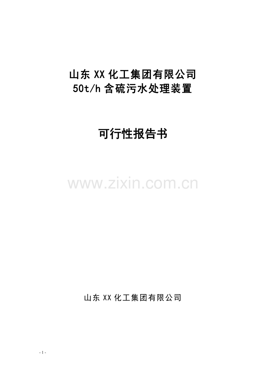 山东x化工集团有限公司50th含硫污水处理装置投资可行性论证报告.doc_第1页