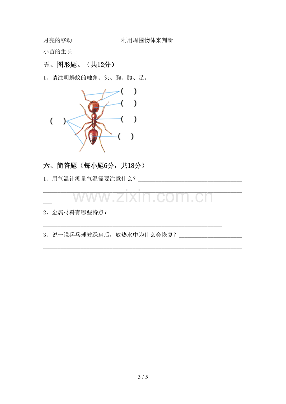 2023年教科版三年级科学下册期中考试题(全面).doc_第3页