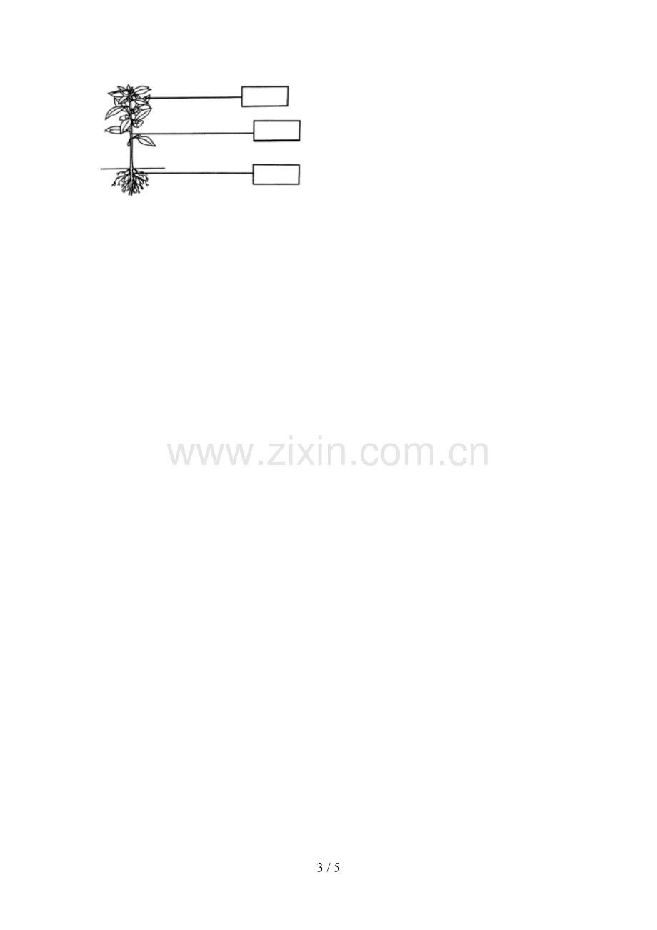 2022-2023年教科版一年级科学下册期中考试题一.doc_第3页