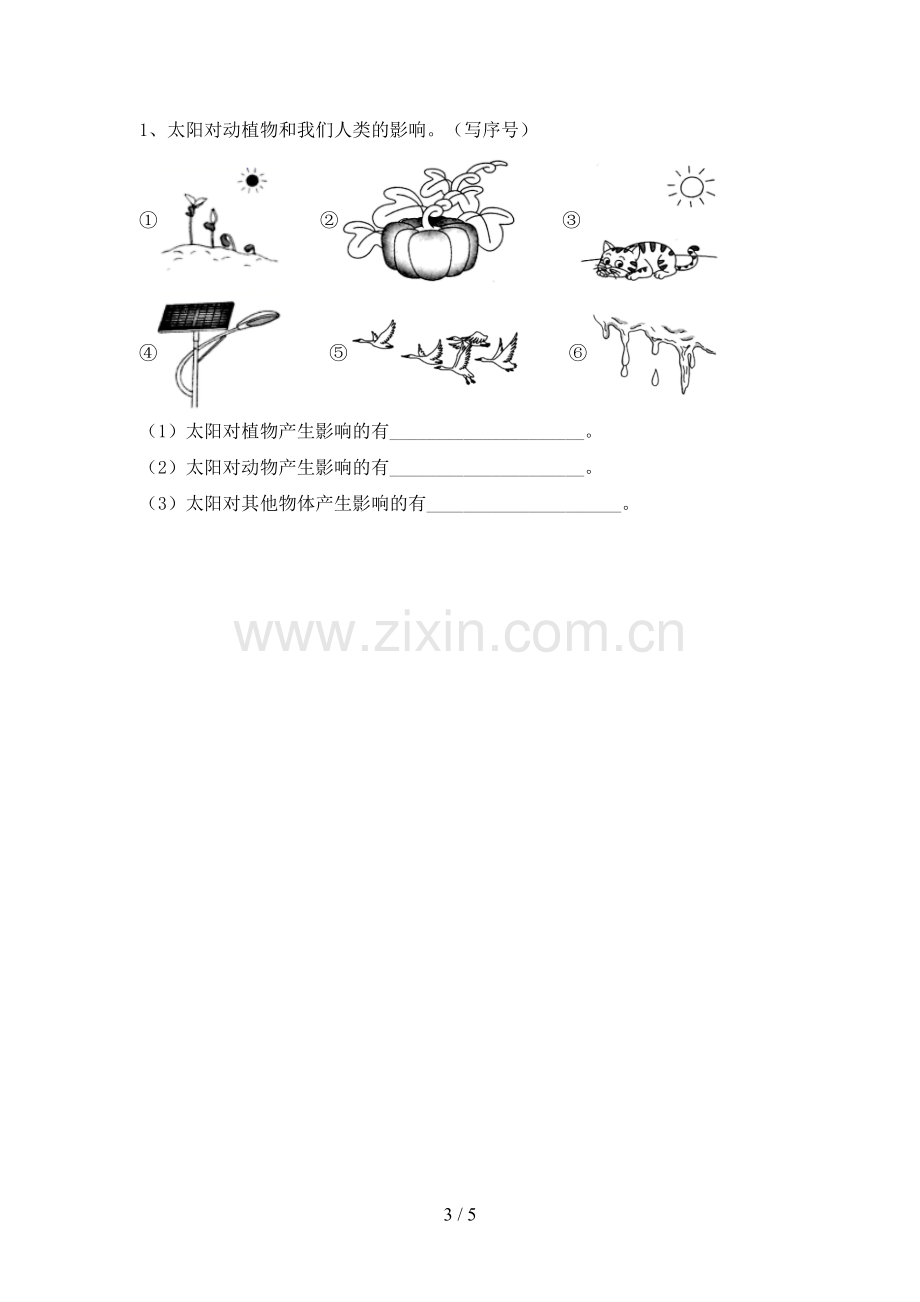 2023年教科版二年级科学下册期中考试题.doc_第3页