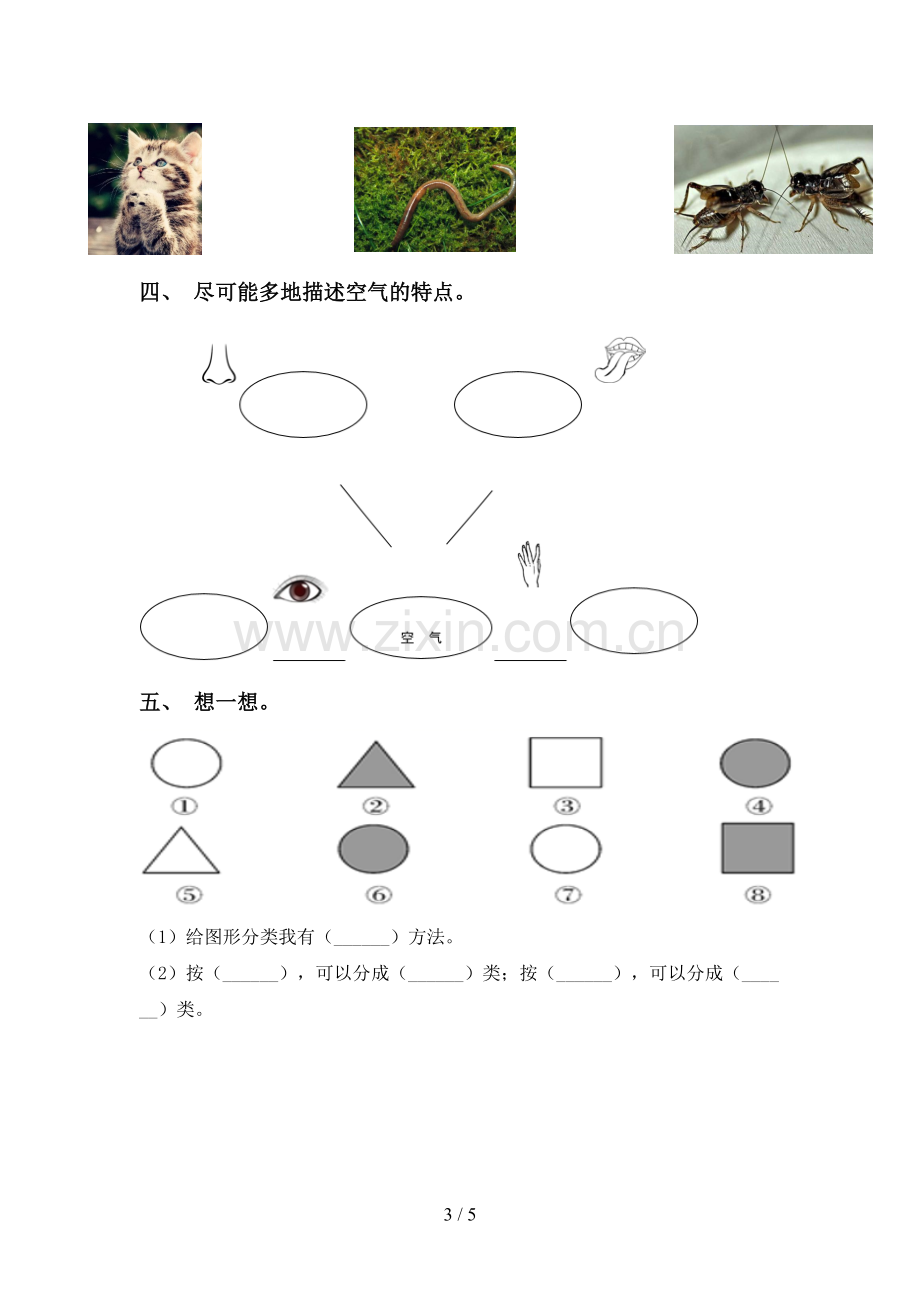 苏教版一年级科学下册期中考试题及答案【汇编】.doc_第3页