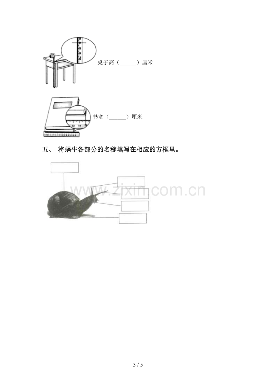 2022-2023年教科版一年级科学下册期中考试题及答案【必考题】.doc_第3页