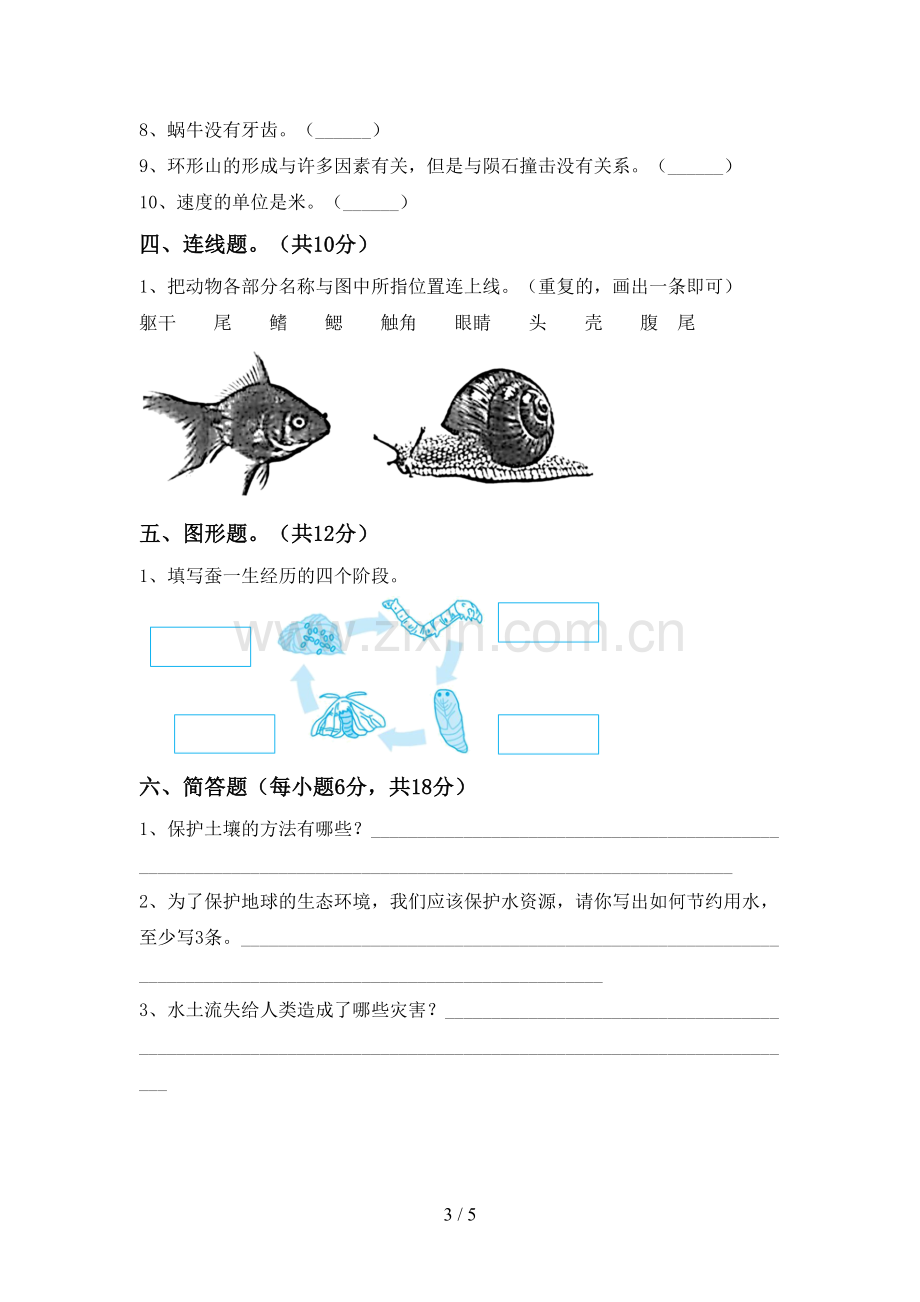 2022-2023年人教版三年级科学下册期中考试题(必考题).doc_第3页