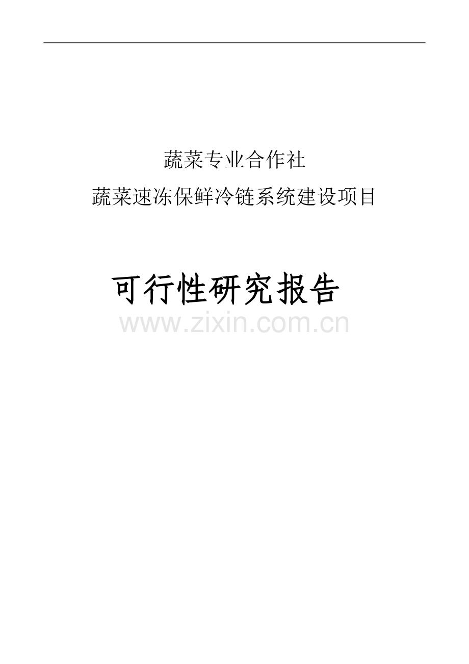 蔬菜速冻保鲜冷链系统项目可行性分析报告代项目可行性分析报告.doc_第1页