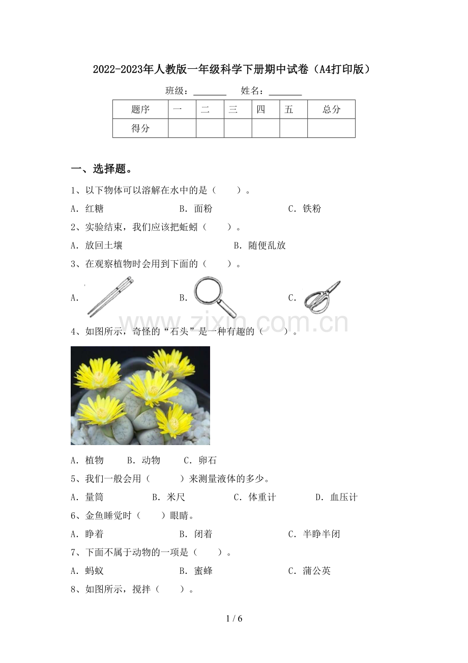 2022-2023年人教版一年级科学下册期中试卷(A4打印版).doc_第1页